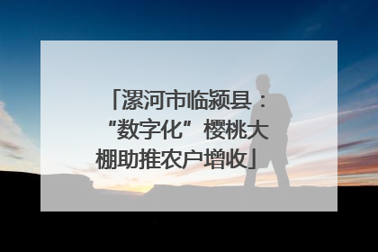 漯河市临颍县：“数字化”樱桃大棚助推农户增收